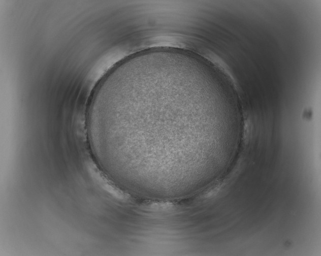 X0000113640882200910021914