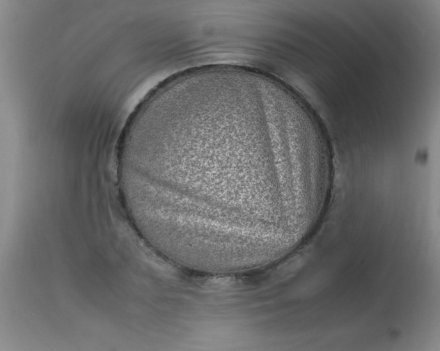 X0000113640883200910021914