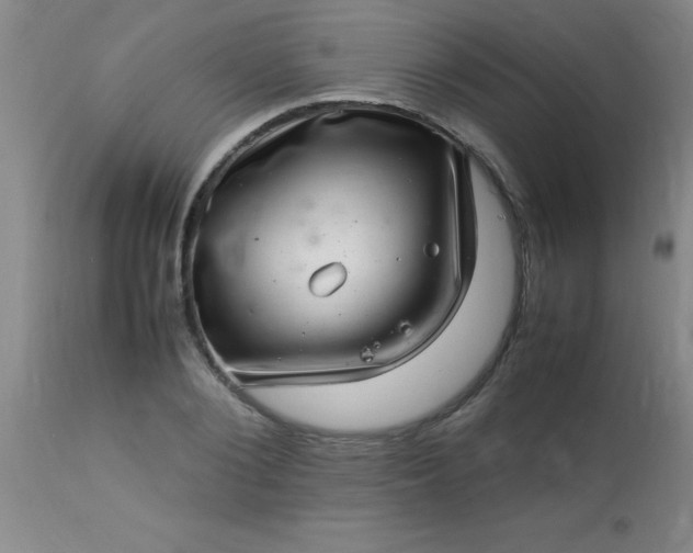 X0000113640884200910021914