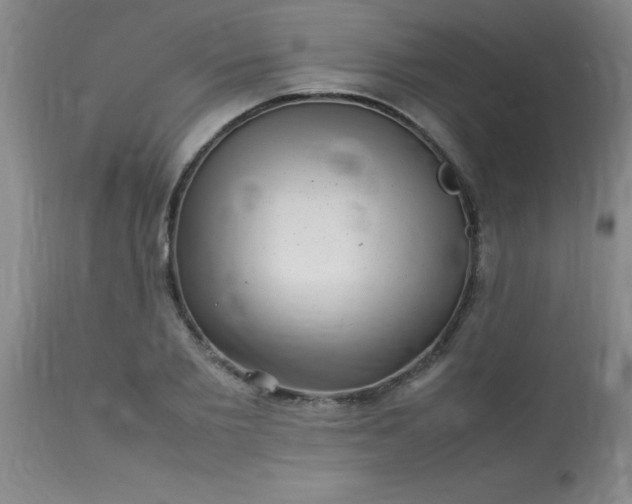 X0000113640885200910021914