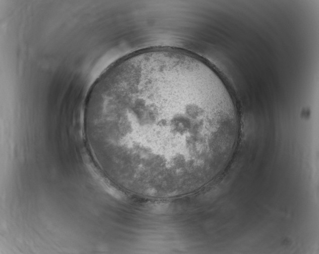 X0000113640886200910021914