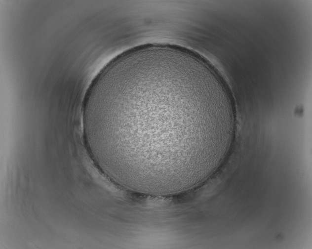 X0000113640887200910021914