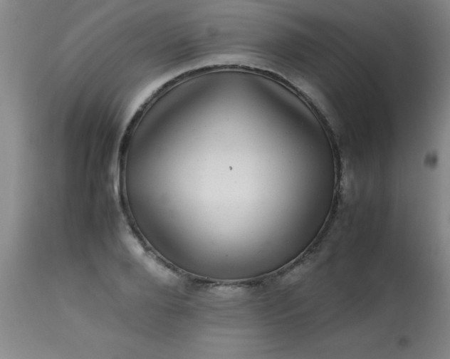 X0000113640888200910021914