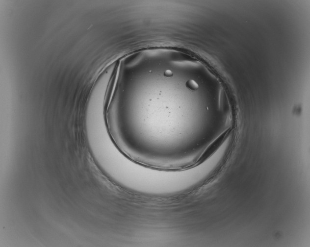 X0000113640889200910021914