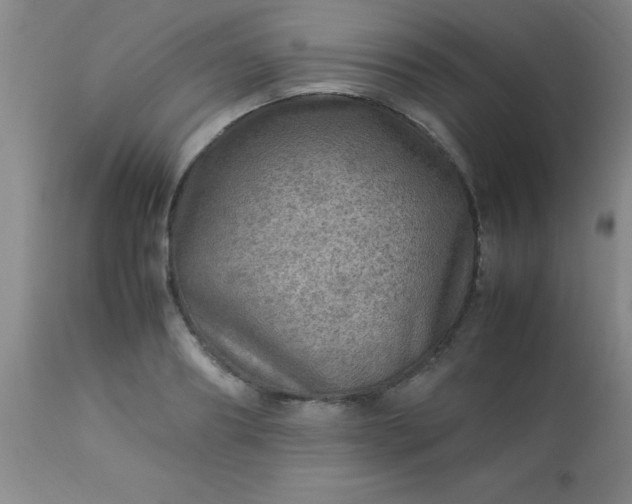 X0000113640890200910021914