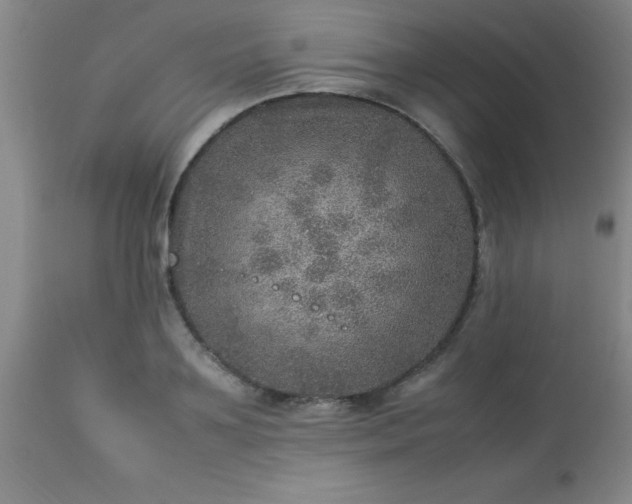 X0000113640891200910021914