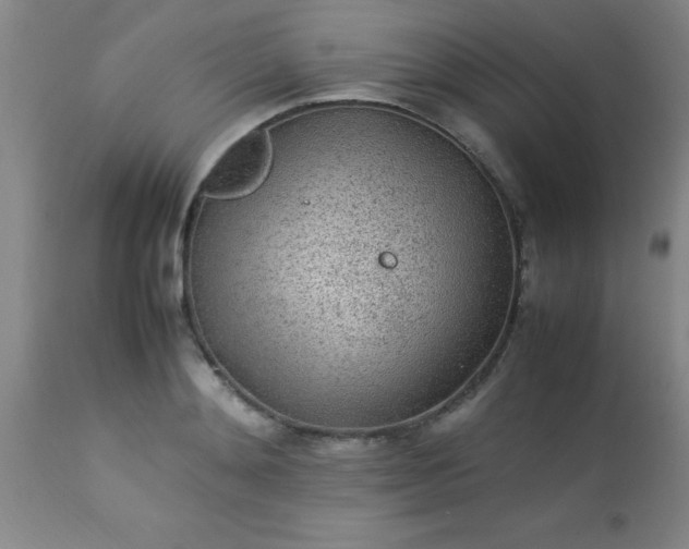 X0000113640892200910021914