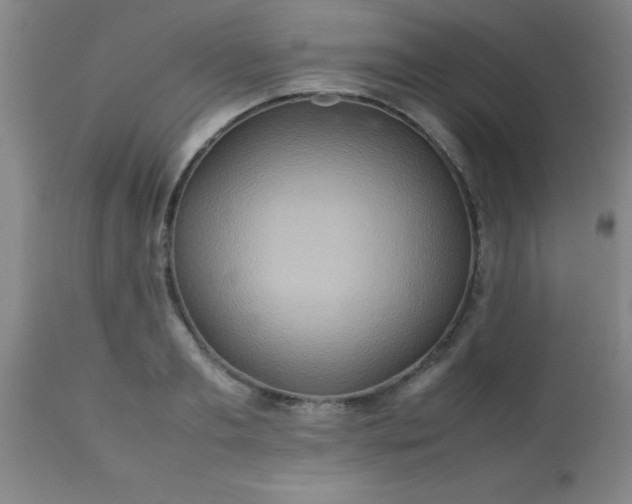 X0000113640893200910021914