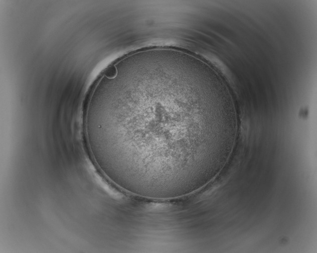 X0000113640894200910021914