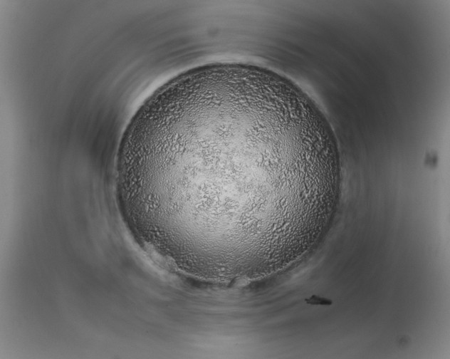 X0000113640895200910021914