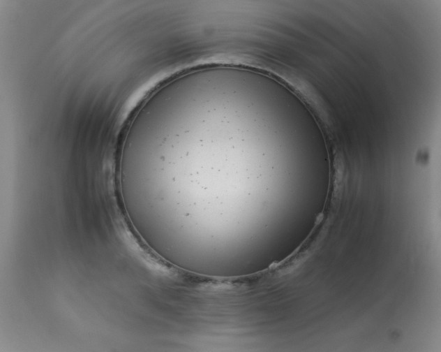 X0000113640896200910021913