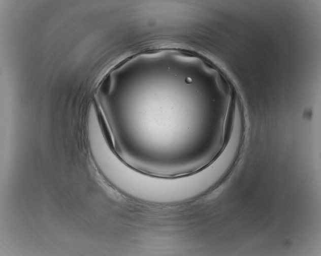 X0000113640897200910021913