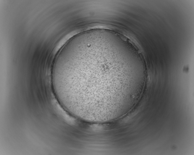 X0000113640898200910021913