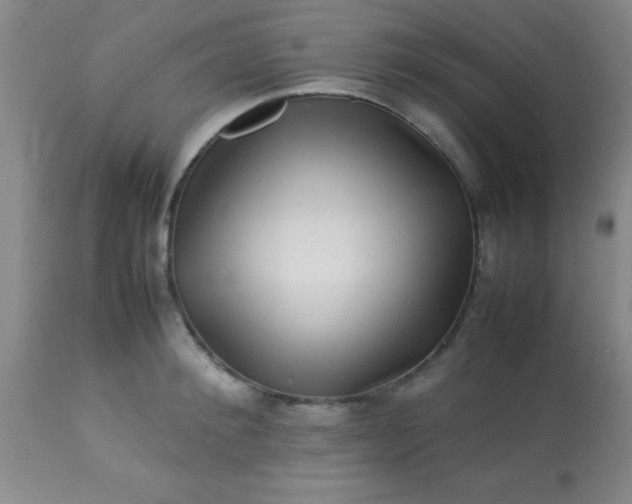 X0000113640900200910021913