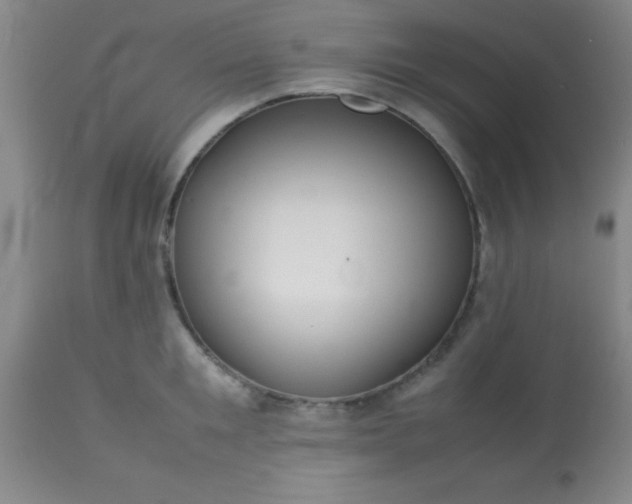 X0000113640901200910021913