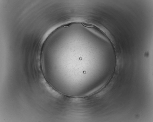 X0000113640904200910021913