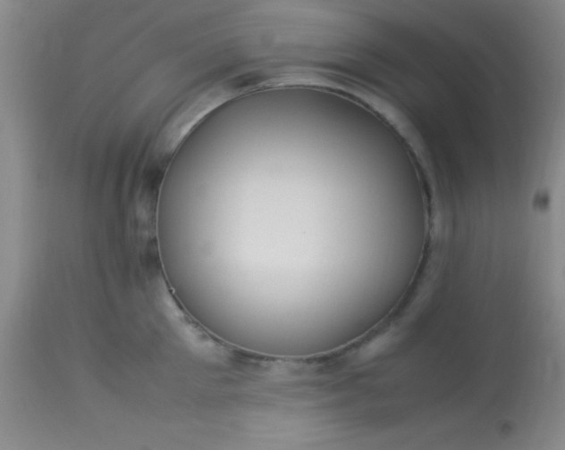 X0000113640905200910021913