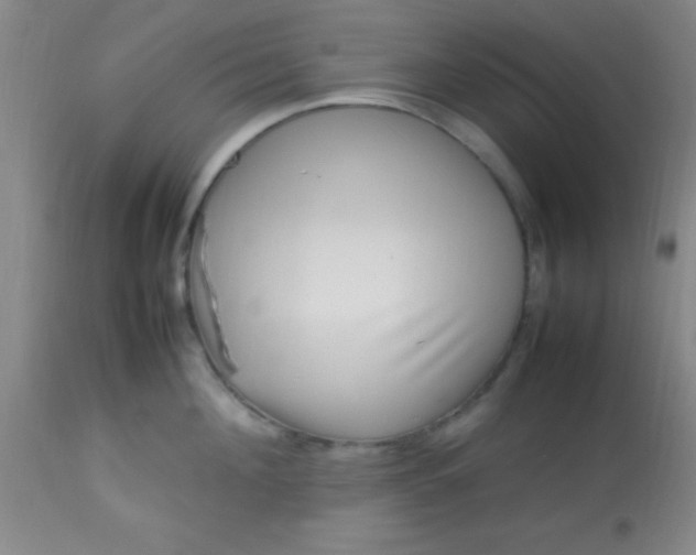 X0000113640908200910021913