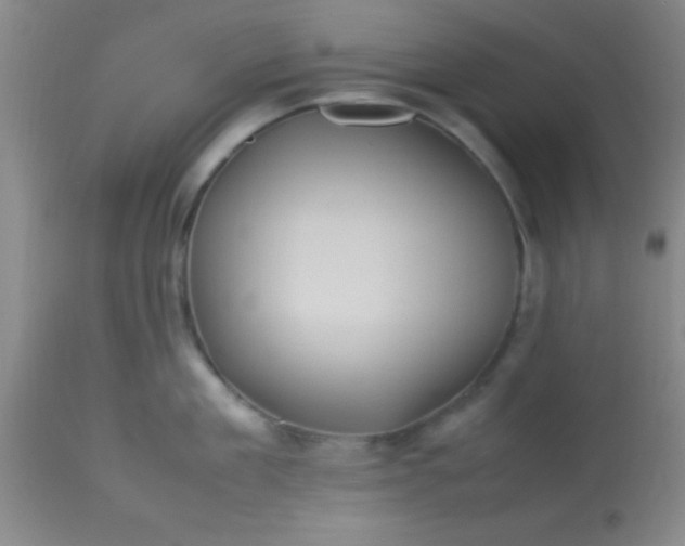 X0000113640909200910021913