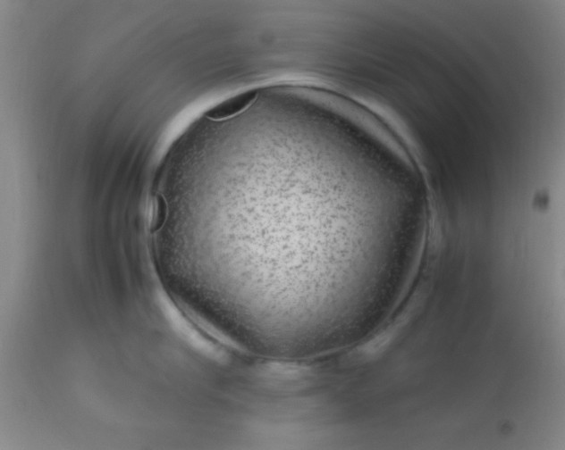 X0000113640910200910021913