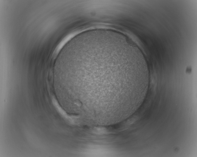 X0000113640911200910021913