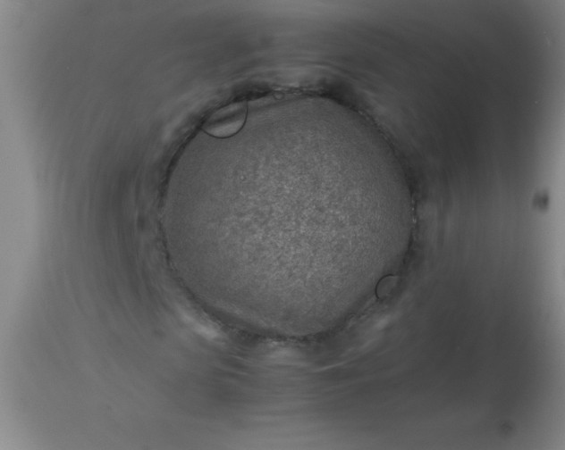 X0000113640913200910021913