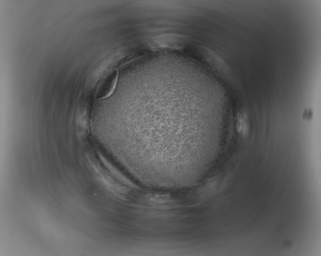 X0000113640915200910021913