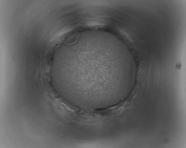 X0000113640917200910021913