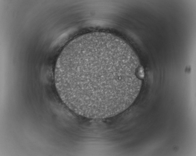 X0000113640918200910021913