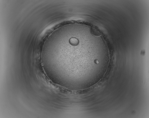 X0000113640920200910021913