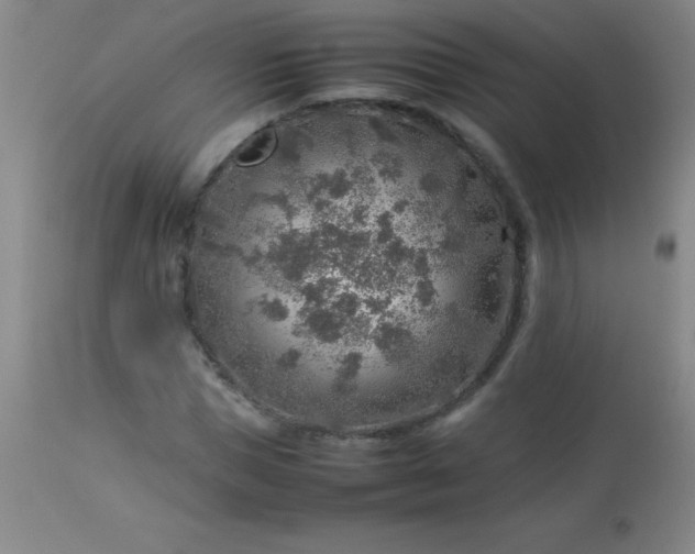 X0000113640921200910021913