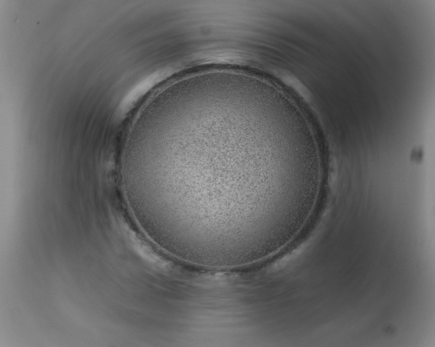 X0000113640922200910021913