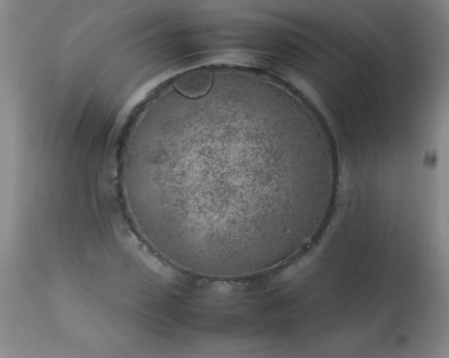 X0000113640923200910021913