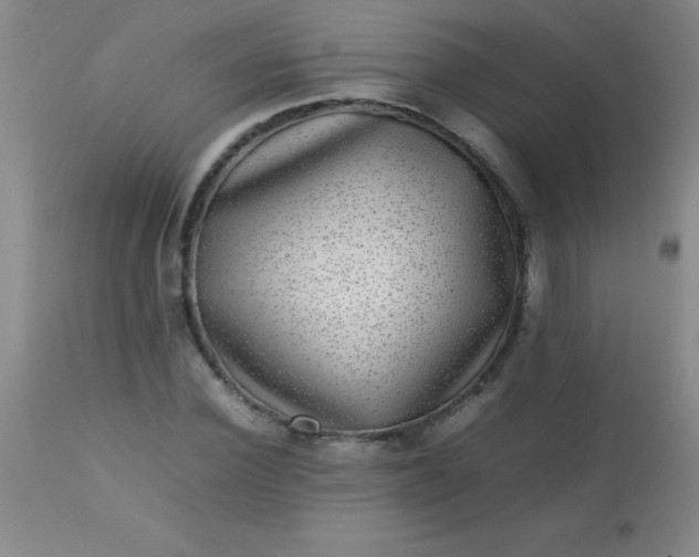 X0000113640924200910021913