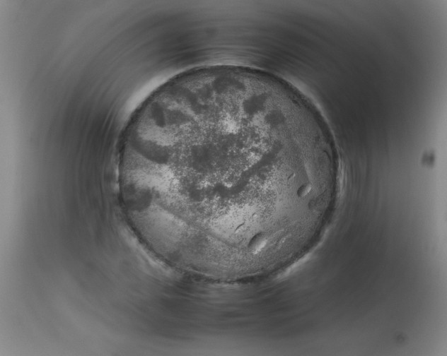 X0000113640925200910021913