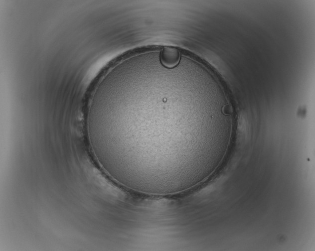 X0000113640926200910021913