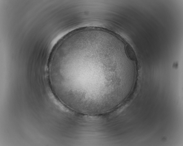 X0000113640928200910021913