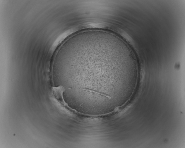 X0000113640930200910021913