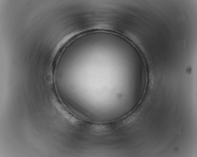 X0000113640931200910021913