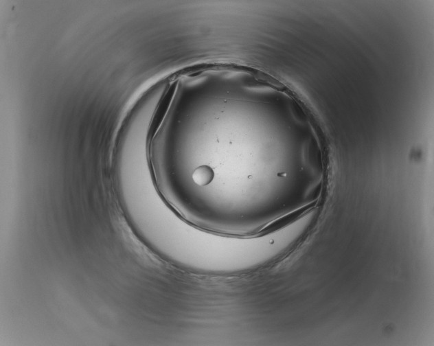 X0000113640932200910021913