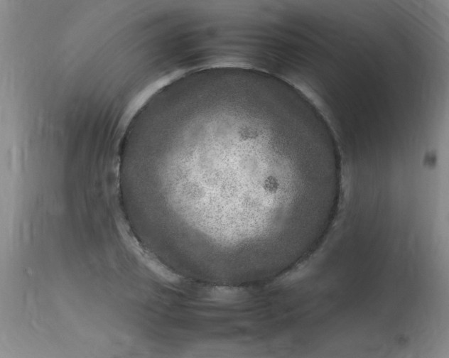 X0000113640933200910021913