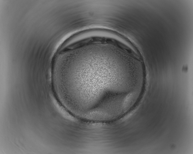 X0000113640934200910021913