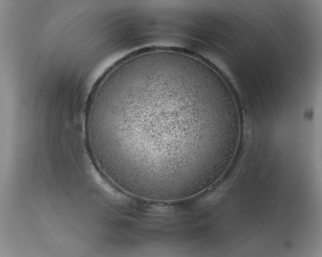 X0000113640935200910021913