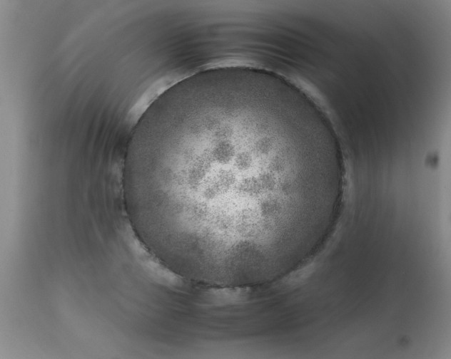 X0000113640937200910021913