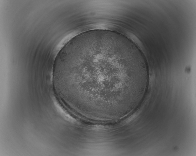 X0000113640938200910021913