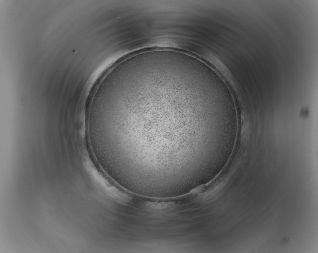 X0000113640939200910021913