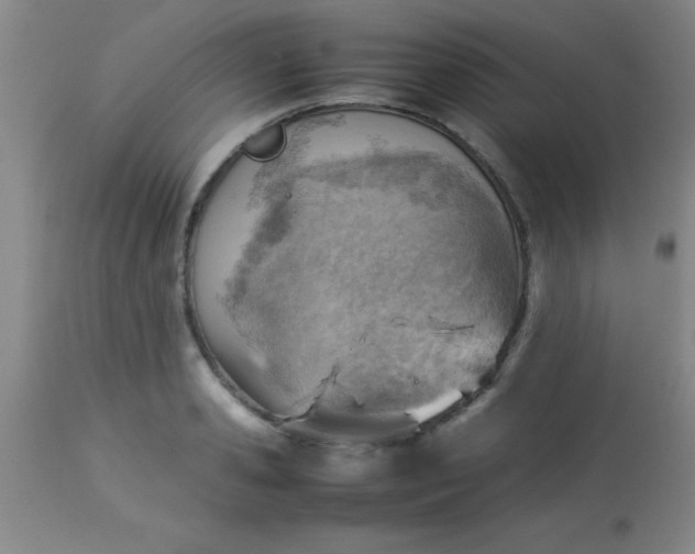 X0000113640941200910021913