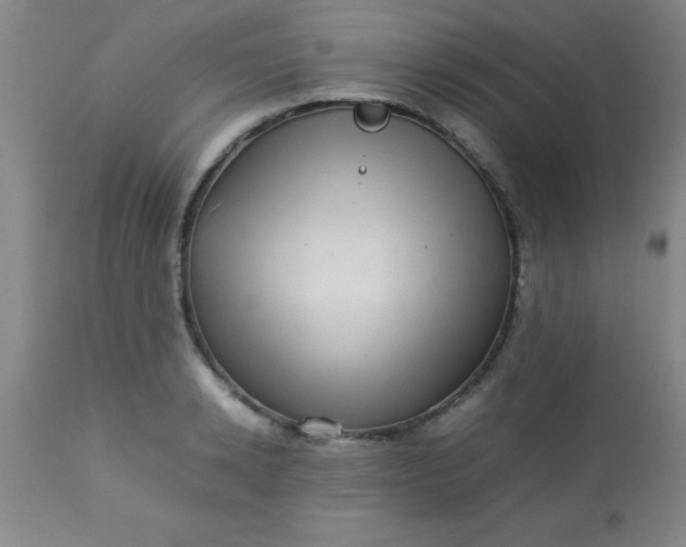 X0000113640942200910021913