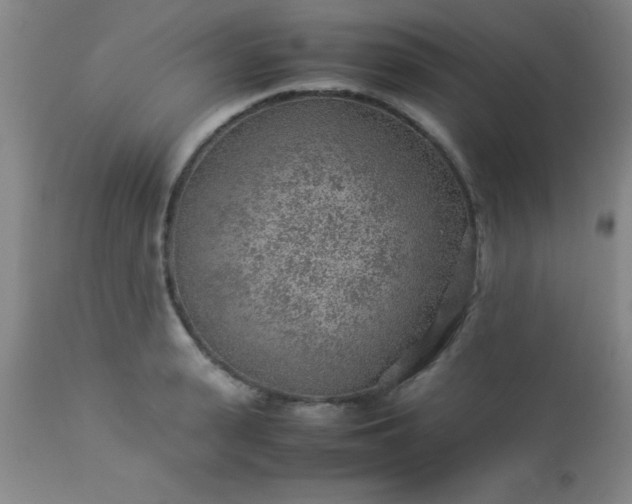 X0000113640943200910021913