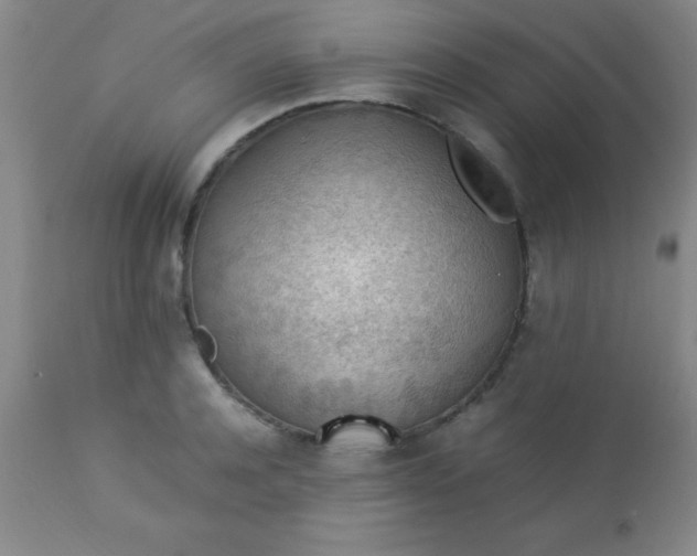 X0000113640944200910021913